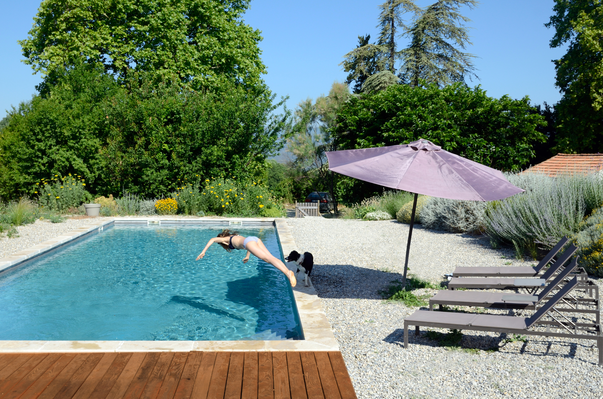 gite de charme avec piscine en Provence